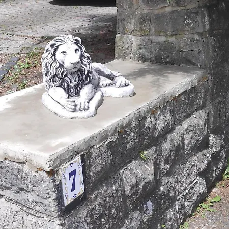 Lion Haus